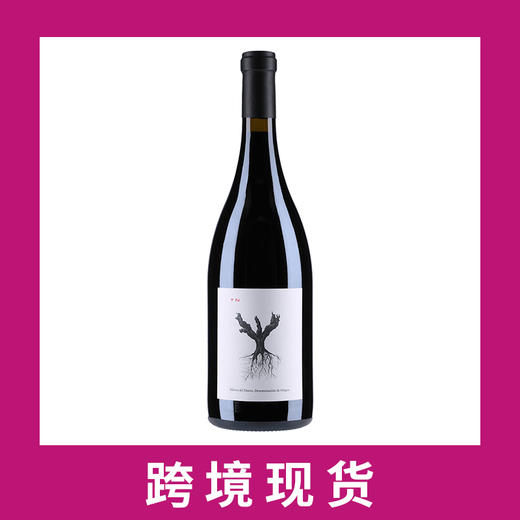 平古斯PSI干红葡萄酒2014 Dominio de Pingus 'PSI', Ribera del Duero, Spain 商品图0