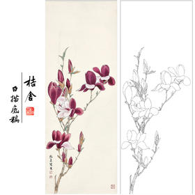 俞致贞花鸟工笔画白描底稿《莘荑花》临摹勾线高清打印稿ZZ74