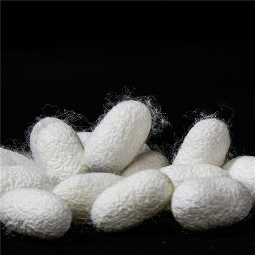 自然醒A类提花蚕丝二合一枕芯全棉蚕丝枕头枕芯超柔软颈椎低枕单人家用矮枕男助睡眠薄枕头XK 商品图11