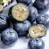 MM 山姆 云南大颗蓝莓 500g（平均单果果径18mm+） 商品缩略图7