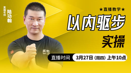 【3月27日】以内驱步实操 ——直播教学（陆师亲授） 商品图0
