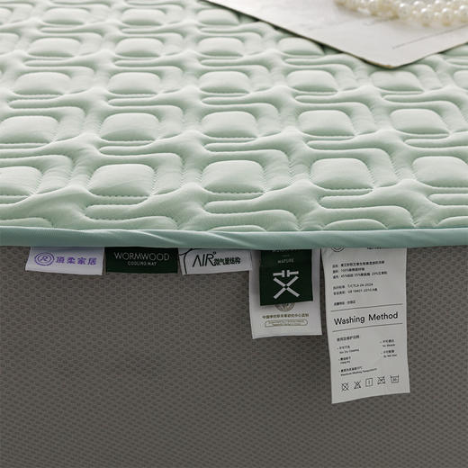 顶柔青艾软软艾草生物基透感软席三件套（床笠款）-LX7075 商品图1