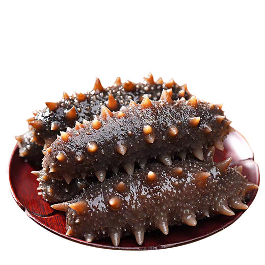 山东烟台鲜食海参 原生态 零添加 原汁原味 500g/袋（6头/10头） 商品图1
