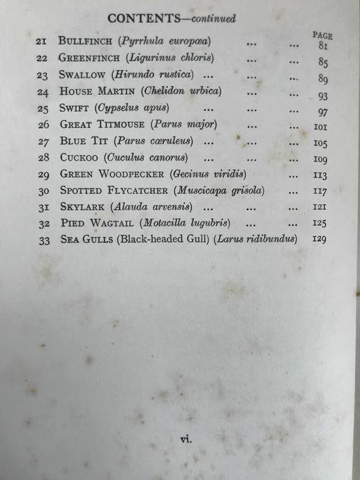 1925年 常见鸟类图集 8幅彩色手工贴图与大量黑白插图 布面精装16开 商品图5