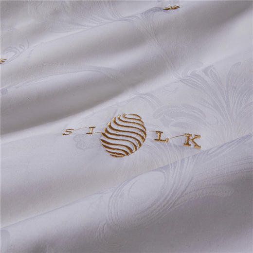 自然醒A类提花蚕丝二合一枕芯全棉蚕丝枕头枕芯超柔软颈椎低枕单人家用矮枕男助睡眠薄枕头XK 商品图7