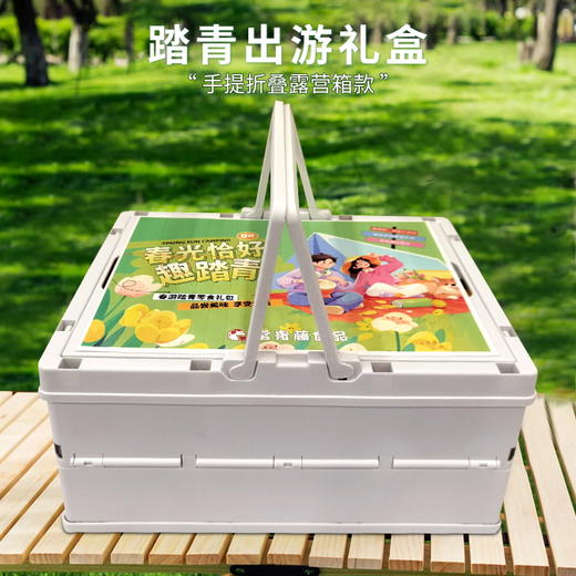 【慢生活踏青游】春暖花开踏青出游露营零食组合F-手提折叠露营箱颜色随机 商品图2