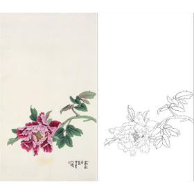 俞致贞花鸟工笔画白描底稿《牡丹》临摹勾线高清打印稿ZZ69