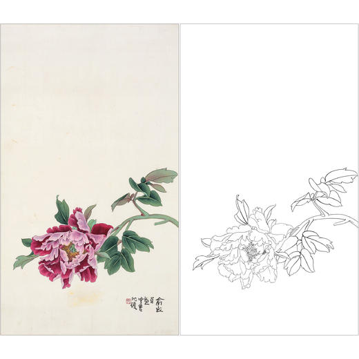 俞致贞花鸟工笔画白描底稿《牡丹》临摹勾线高清打印稿ZZ69 商品图0
