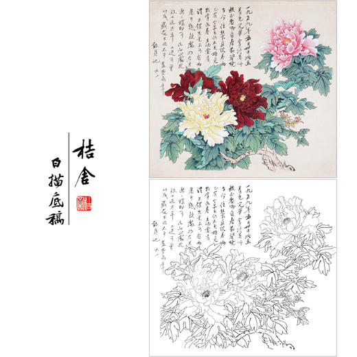 俞致贞花鸟工笔画白描底稿《工笔牡丹》临摹勾线高清打印稿ZZ68 商品图0