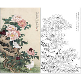 俞致贞花鸟工笔画白描底稿《富贵双鸽》临摹勾线高清打印稿ZZ71
