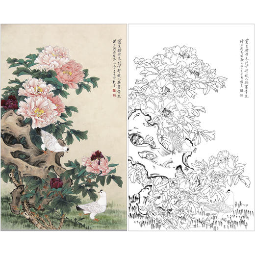 俞致贞花鸟工笔画白描底稿《富贵双鸽》临摹勾线高清打印稿ZZ71 商品图0