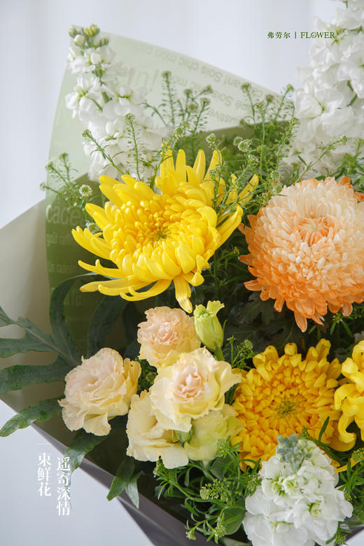 春山长念 商品图2