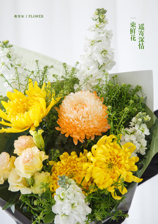 春山长念 商品图3