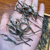 【春茶尝鲜仅一件】2025年早春老班章挑采300年古树纯料！爆棚兰花香！满满的春韵！不抢一定后悔！ 商品缩略图2