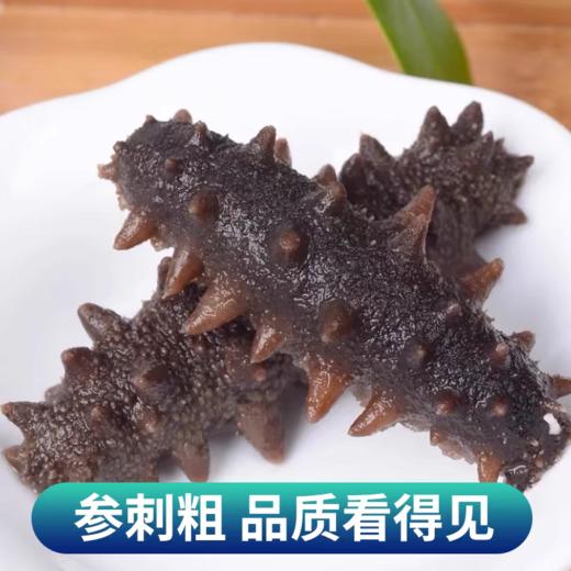 山东烟台鲜食海参 原生态 零添加 原汁原味 500g/袋（6头/10头） 商品图7