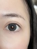 Serltyca日抛美瞳 DOLL感灰 14.5mm 商品缩略图0