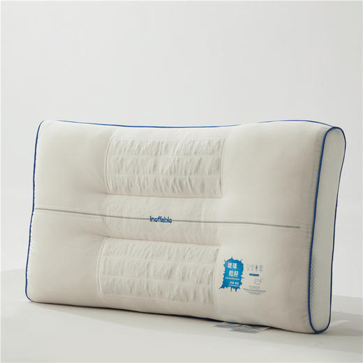 自然醒玻璃粒籽护颈枕全棉纯棉枕芯护颈椎枕不易变形按摩枕家用一对枕头枕芯XK 商品图12