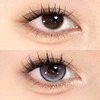 Budercon美瞳 寻梦环游 14.5mm 商品缩略图0