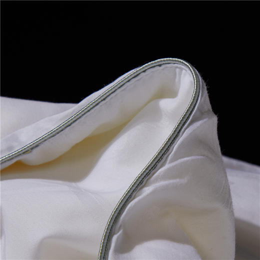 自然醒A类提花蚕丝二合一枕芯全棉蚕丝枕头枕芯超柔软颈椎低枕单人家用矮枕男助睡眠薄枕头XK 商品图9