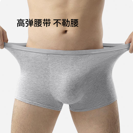 一次性内裤男士便携出差旅行日抛男内裤WS20807 商品图2
