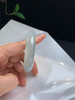 612501，56.5冰底手镯，一大截种水超级棒，起荧光了，下面一截稍弱一些， 清新冰透 商品缩略图4