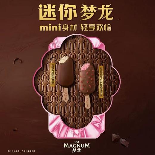 迷你梦龙（草莓+香草）164g 商品图0