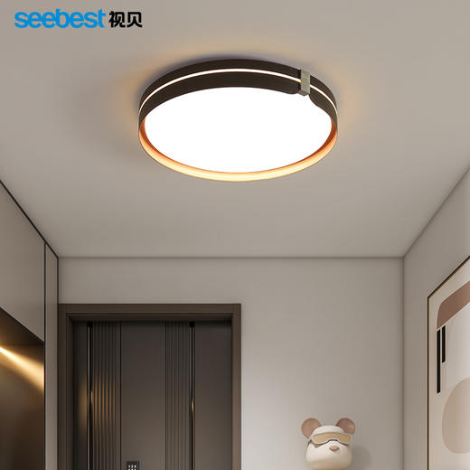 桐华系列-客卧灯(智能离线语音控制)（部分停产） 商品图3