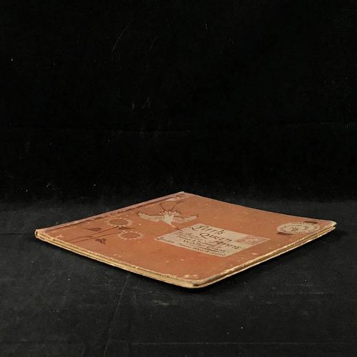 1886年 小安妮女王 沃尔特·克兰24页彩色插图 布脊精装 商品图1