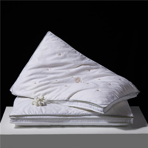 自然醒A类提花蚕丝二合一枕芯全棉蚕丝枕头枕芯超柔软颈椎低枕单人家用矮枕男助睡眠薄枕头XK 商品图8