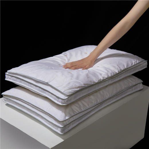 自然醒A类提花蚕丝二合一枕芯全棉蚕丝枕头枕芯超柔软颈椎低枕单人家用矮枕男助睡眠薄枕头XK 商品图2