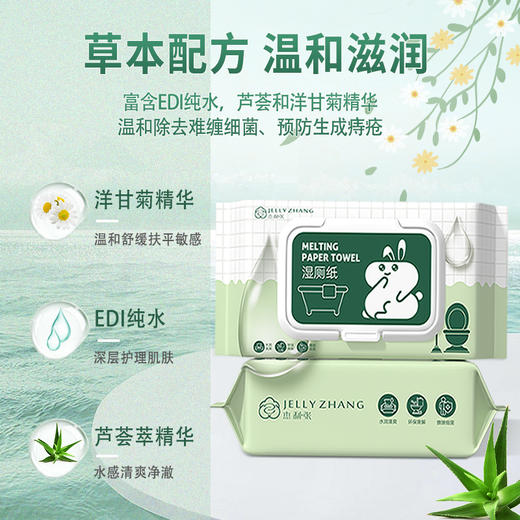 湿厕纸家庭实惠装洁厕湿巾擦屁屁男女可用WS20805 商品图0
