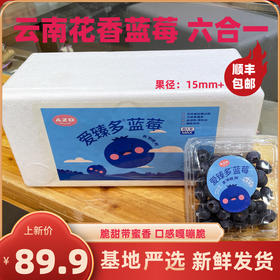 花香蓝莓礼盒（泡沫箱六合一）15+