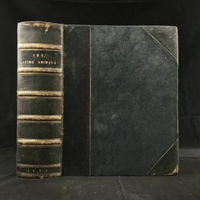 约20世纪早期 世界现存动物自然史（全2卷合订本） 1210幅插图 真皮精装16开