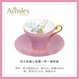 英国Aynsley安斯丽色釉铃兰骨瓷咖啡杯英式下午茶对杯子礼盒套装