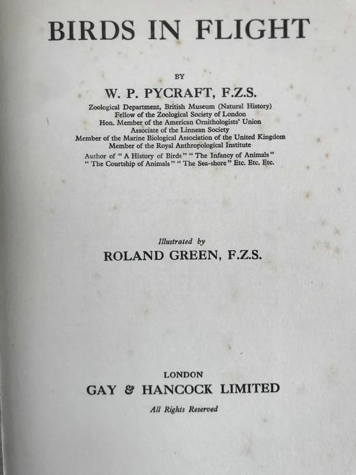 1922年 飞翔鸟类图集 12幅彩色手工贴图与大量黑白插图 布面精装16开 商品图3