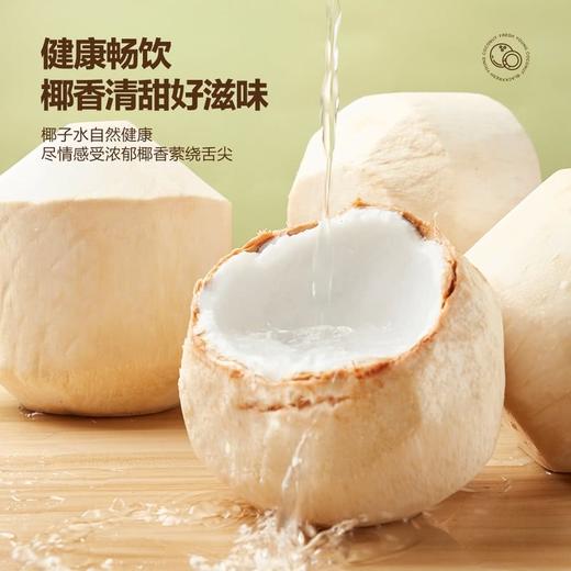 MM 山姆 泰国椰青 6粒 商品图3