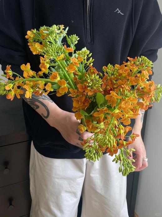 同城甄选油菜花鲜切花一扎 商品图5