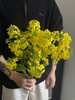 同城甄选油菜花鲜切花一扎 商品缩略图4