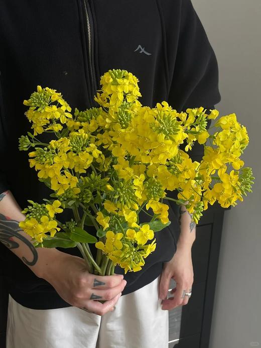 同城甄选油菜花鲜切花一扎 商品图4