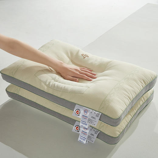 自然醒自然草本荞麦养护枕头护颈椎助睡眠专用枕芯家用套装一对成人不塌陷硬整头不塌XK 商品图4