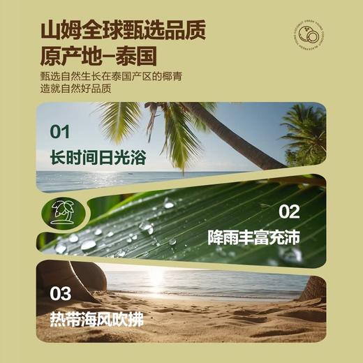 MM 山姆 泰国椰青 6粒 商品图2