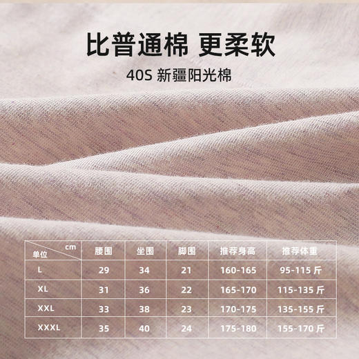 丁摩 女士高腰内裤女【4条装】整裤7A抗菌色纺无染收腹纯棉彩棉底档三角裤5ZF-316 商品图3