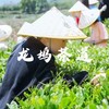 【亲子营】新手友好！杭州绿色后花园-龙坞，邂逅“小九寨”蓝湖 商品缩略图0
