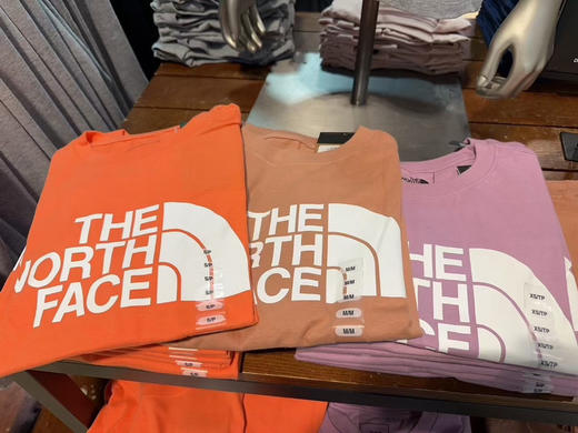 ¥ 399/2件 女士大logo，‼️The North Face北面女士棉短袖T恤，亲肤棉质，舒适，可以配情侣👩‍❤️‍👨 商品图9
