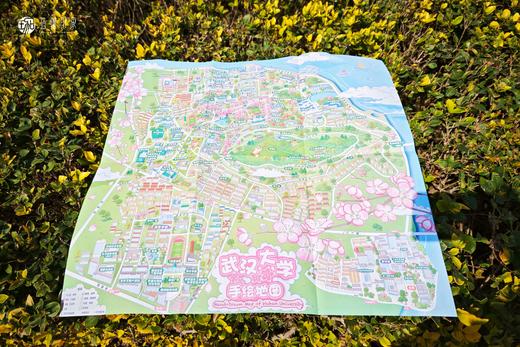 武汉大学手绘地图 商品图0