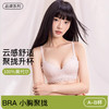 【109元/2件】【专柜大牌同款】春夏小胸聚拢性感蕾丝内衣 100%莫代尔舒适文胸 商品缩略图0