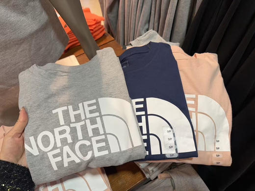¥ 399/2件 女士大logo，‼️The North Face北面女士棉短袖T恤，亲肤棉质，舒适，可以配情侣👩‍❤️‍👨 商品图10