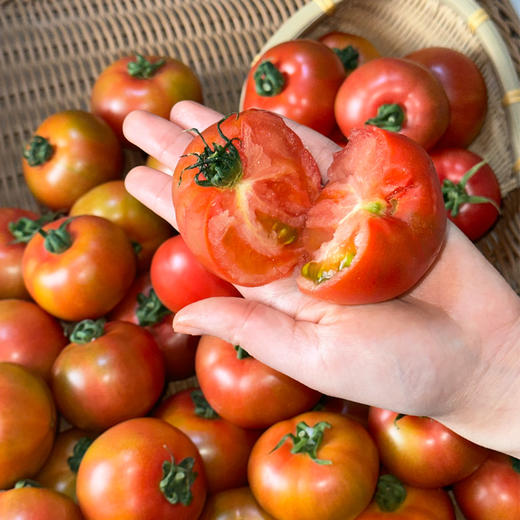 草莓番茄约4.5斤装 | 农匠坊 商品图0