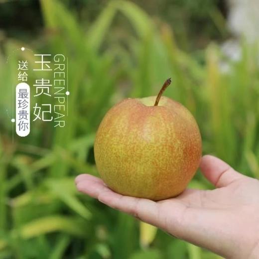 隰县～玉露香梨【礼盒装8-10粒】 商品图1