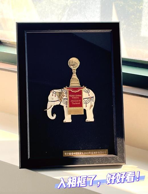 TEAM CHINA太平有象男排亚洲杯夺冠纪念章 商品图3